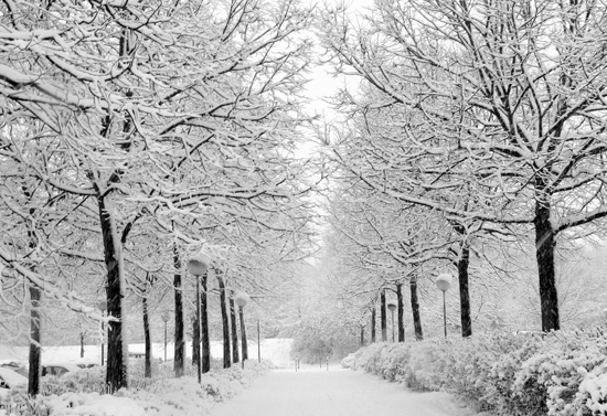 �������κÎ��� С��邃���^(gu��)��(l��i)