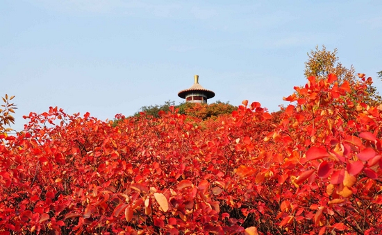 �����o(j��)��(gu��)����������r(sh��)��(ji��)�p�t�~����