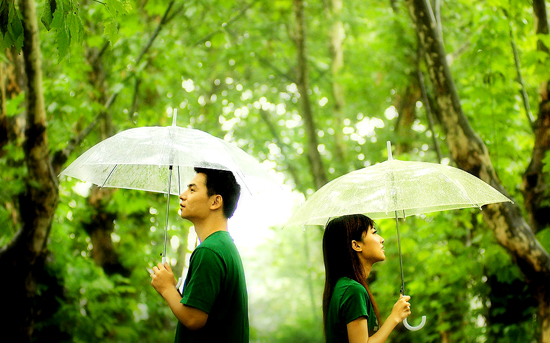 �����(ji��)��&ldquo;��&rdquo; ʡ��(n��i)&ldquo;Ó��&rdquo;���ε����]