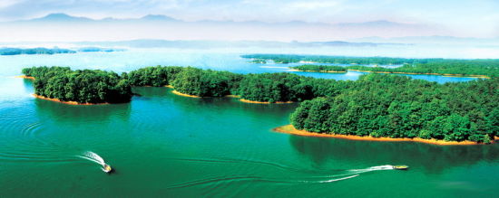 �����(ji��)��&ldquo;��&rdquo; ʡ��(n��i)&ldquo;Ó��&rdquo;���ε����]