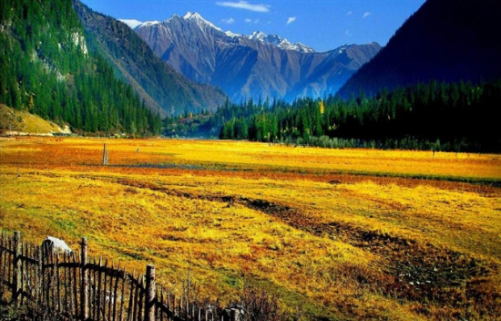 ����(n��i)ʮ��(du��)Ů�����ױ��ׄٵ�