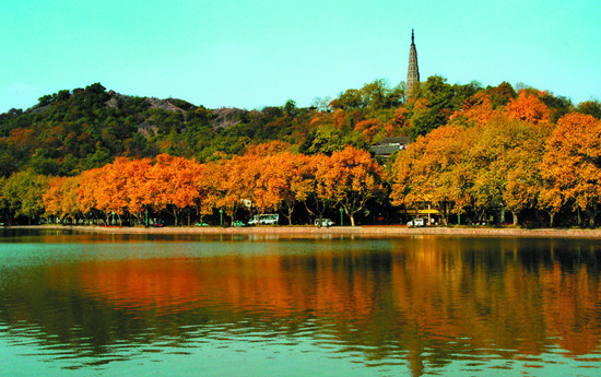 ����(n��i)ʮ��Ů�����ױ��ׄٵ�