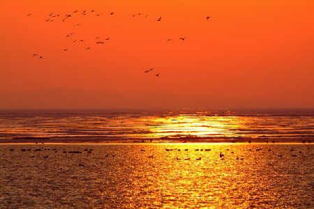 �����(ji��)�Լ���&mdash;&mdash;����Ŀ�ĵ����]