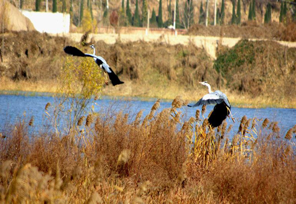 ���Č�&ldquo;�^�B(ni��o)��(ji��)&rdquo;�����ڝ�(j��)ԴС�˵��_(k��i)Ļ