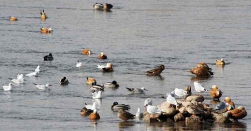 ���Č�&ldquo;�^�B(ni��o)��(ji��)&rdquo;�����ڝ�(j��)ԴС�˵��_(k��i)Ļ