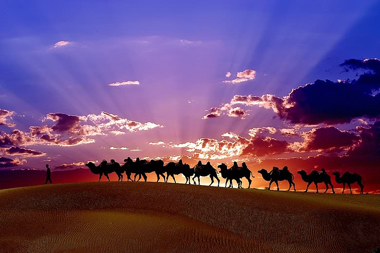 �����_�����û�܇ �I(l��ng)����;�����L(f��ng)��