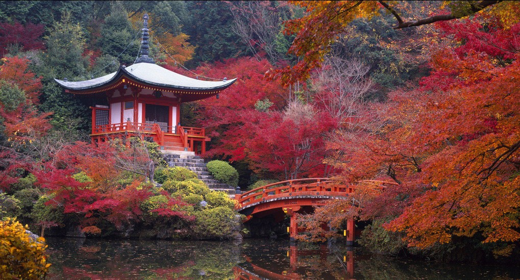 ��ĩ��Ҫ��(d��ng)���� �A���D(zhu��n)����ȥ��