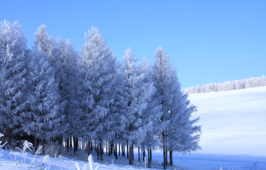 ����ѩ���ȶÞ�� �P(p��n)�c(di��n)��(gu��)��(n��i)����pѩ�ٵ�