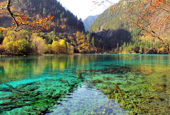 һ�����ɲ�ȥ��9��(g��)����С�(zh��n)