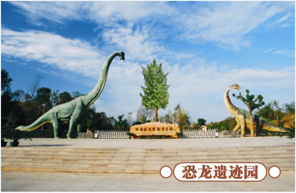 ʥ�Qȥ�ă���ʡ��(n��i)�g��(l��)�����]