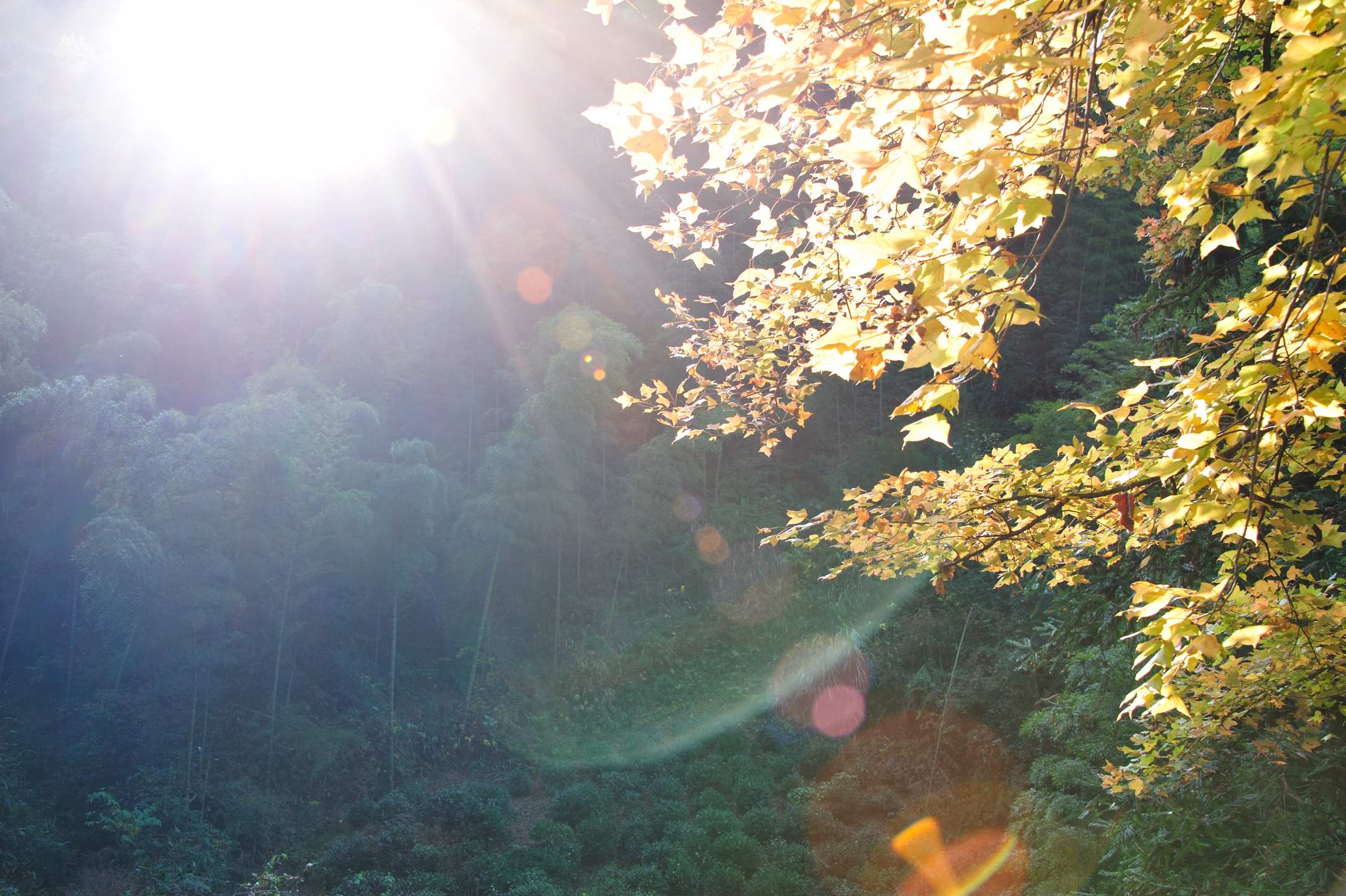 ��ĩ���h(yu��n)�� ʡ��(n��i)��߅�����]