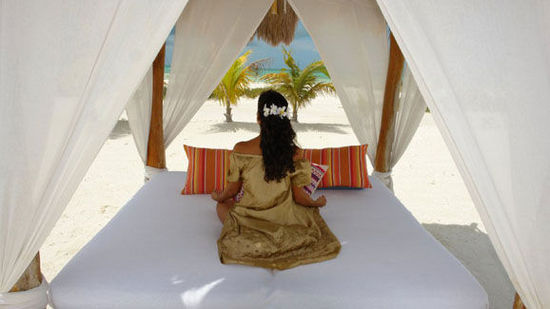 ����������2014������T���߷N�ó�