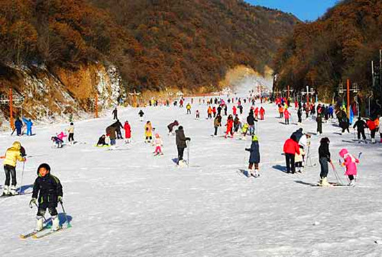 ���T�{��ɽ��ѩ��ӭ����ǧ��ԇ��