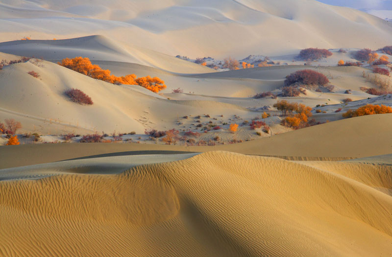 ����(n��i)ʮ��������̽�U(xi��n)��·