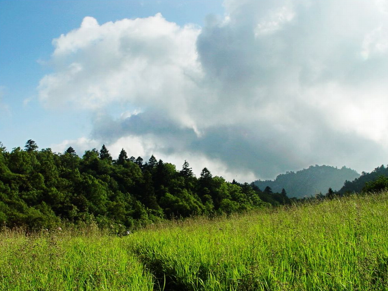 ����(n��i)ʮ��������̽�U��·