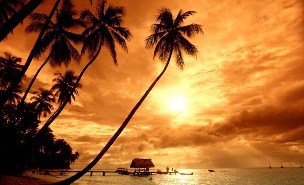 ��ȫ��ȥ���� ���������ι���