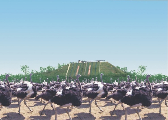 ˽��ӆ�Ƶ�������Ԫ��ʡ��(n��i)���ε����]