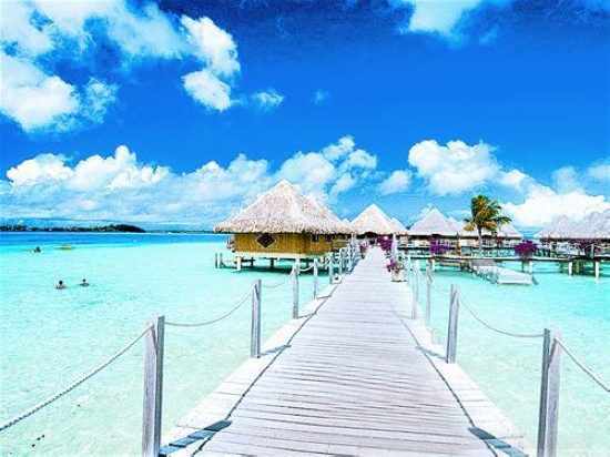 �żٷ����ߟ���������R̩�n�ɟ��TĿ�ĵ�