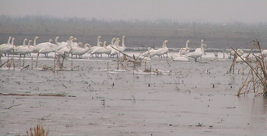 ���������^�B�r ʡ��(n��i)�^�B�رP�c