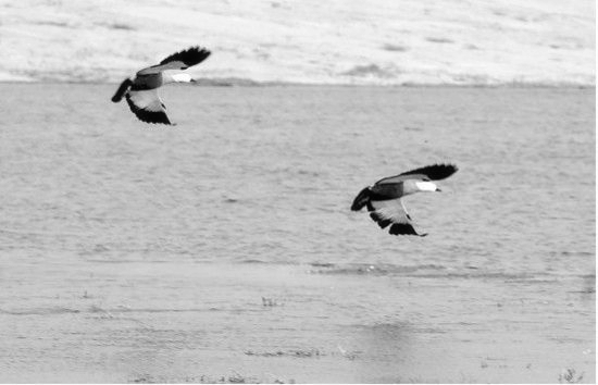 ���������^�B�r(sh��) ʡ��(n��i)�^�B�رP�c(di��n)