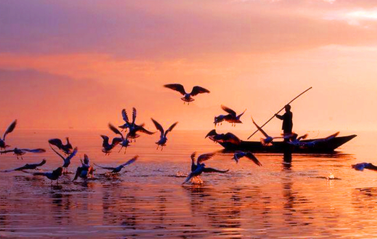 ��׌���������Ҹ���һͬ�W