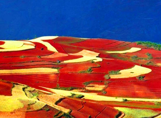 �������� ��������