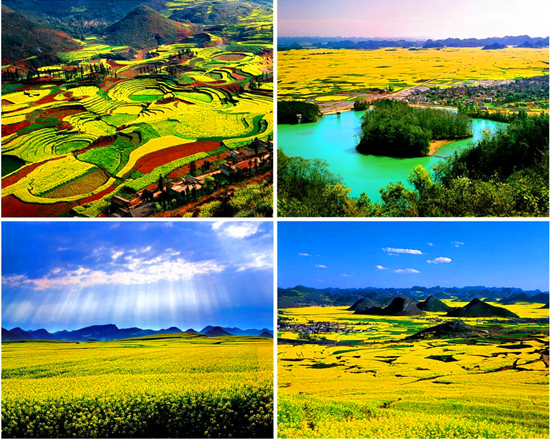 ��������  �_ƽ�Ͳ˻�