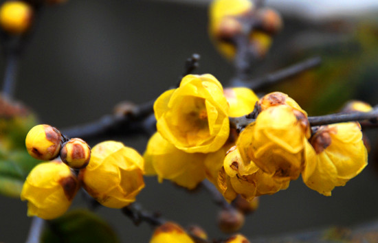 ��������  �����p÷  �G���@ �������񹫈@