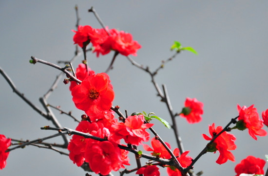 ��������    �G���@ �������񹫈@