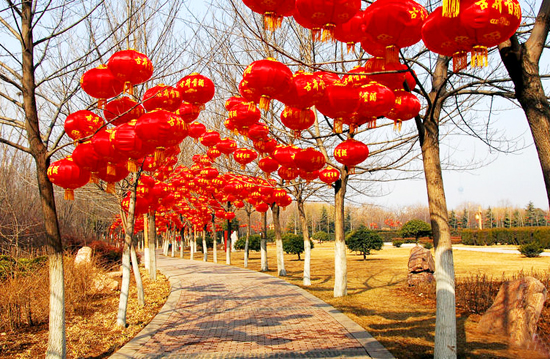 ���(y��ng)�����Ļ��R��(hu��)����