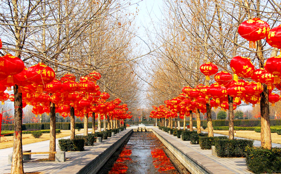 ���(y��ng)�����Ļ��R��(hu��)����