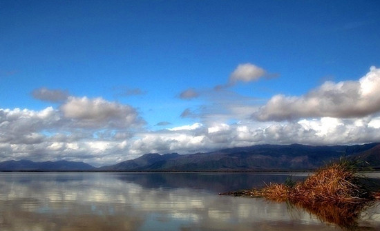 ˮ��Ⱦ �Hˮ���� ��կ�� �Ϟ���