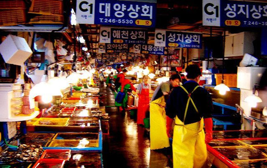 ����(ji��)���g �Ї�(gu��)�ο͔�(sh��)��ռ�n��(gu��)���(gu��)�ο��˔�(sh��)һ��