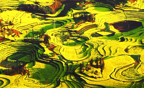 �Ͳ˻� ��Դ���� �_ƽ���� �ຣ��