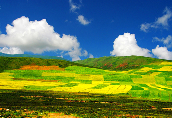 �Ͳ˻� ��Դ���� �_ƽ���� �ຣ��