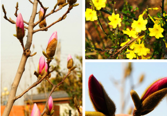 ���ݾG���@��?ji��n)��������Z(y��) Ψ�з����(l��i)