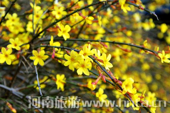 ����۳�꣺ꖴ����� �p�������r