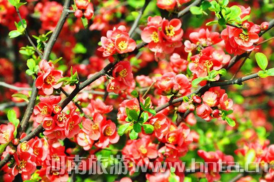 ����۳�꣺ꖴ����� �p�������r