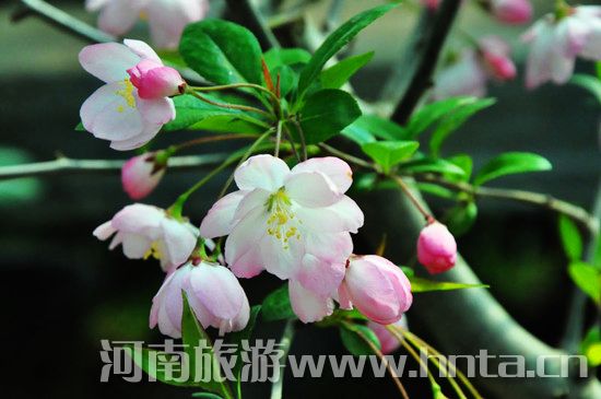 ����۳�꣺ꖴ����� �p�������r