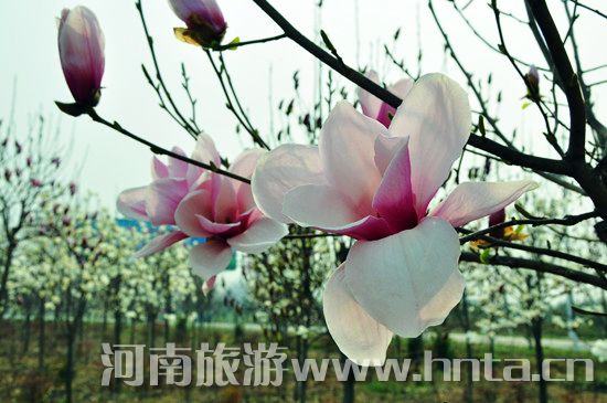 ����۳�꣺ꖴ����� �p�������r