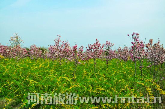 ����۳�꣺ꖴ����� �p�������r