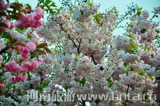 ����۳�꣺ꖴ����� �p�������r