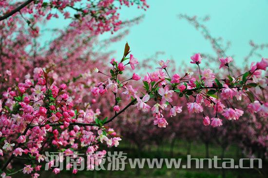 ����۳�꣺ꖴ����� �p�������r