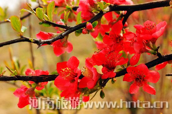 ����۳�꣺ꖴ����� �p�������r