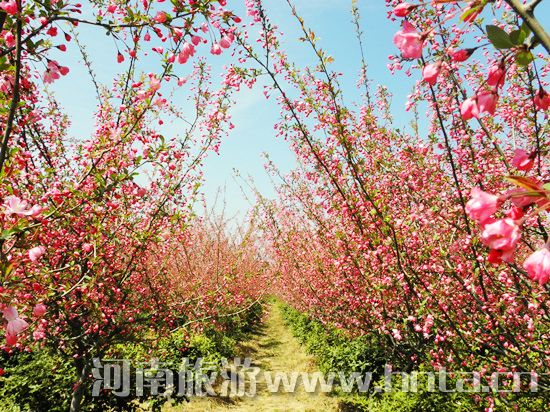 ����۳�꣺ꖴ����� �p�������r