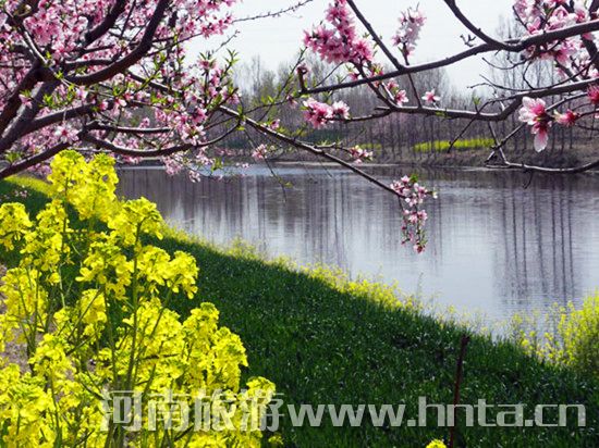 ����۳�꣺ꖴ����� �p�������r