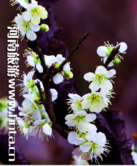 ����۳�꣺ꖴ����� �p�������r