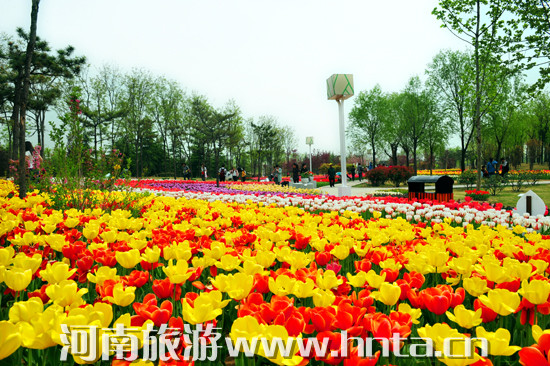 һ��̤��������ݴ���̤�����]