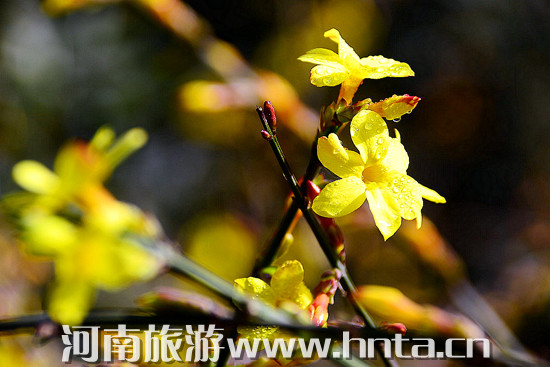 һ��̤��������ݴ���̤�����]