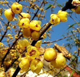 һ��̤��ɣ����ݴ���̤�����]